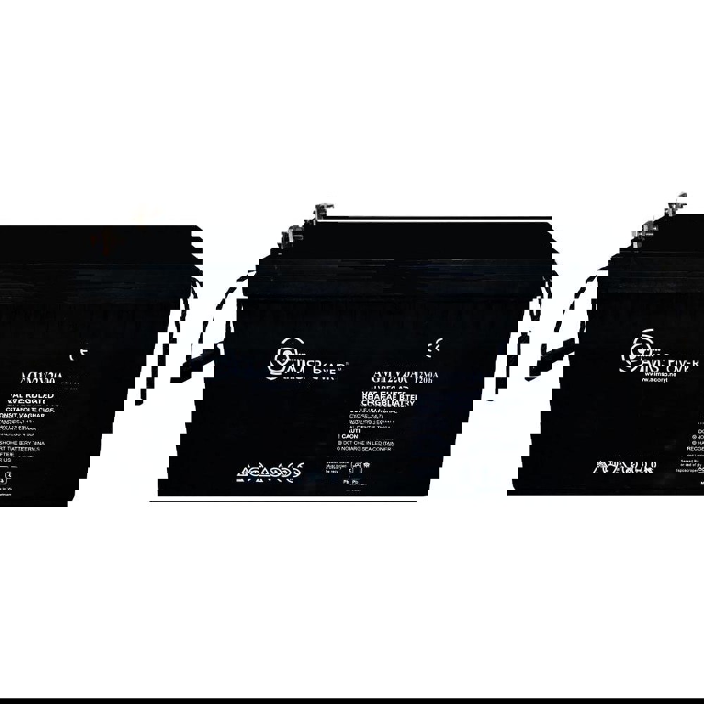 AGM Battery: Lead-Acid